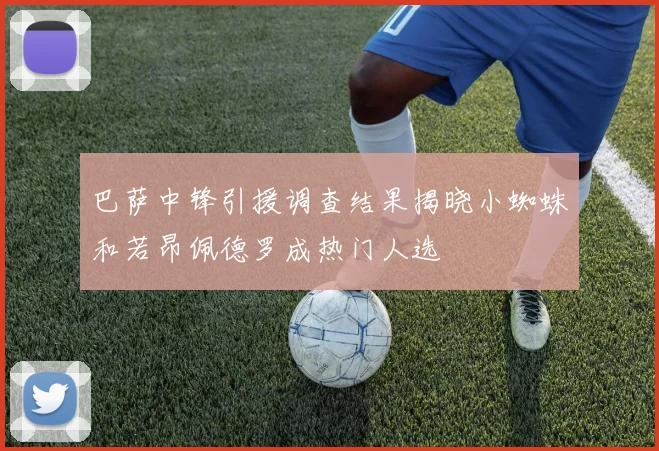 巴萨中锋引援调查结果揭晓小蜘蛛和若昂佩德罗成热门人选